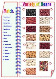 Variety of Beans- Matching activity ** fully editable