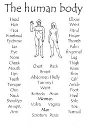 English Worksheet: The Human body part 1