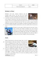 English Worksheet: Jobs on the building site