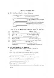English Worksheet: Grammar revision test