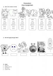 English Worksheet: Class assignment for elementary students