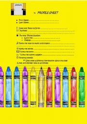 English Worksheet: Students Profile Sheet