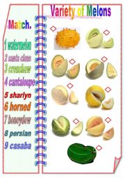 English Worksheet: Variety of Melons - Matching Activity ** fully editable
