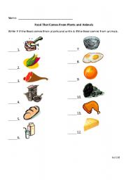 English Worksheet: Foods That Come From Plants and Animals