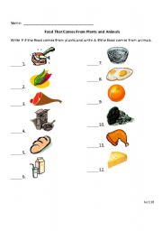 English worksheet: Foods That Come From Plants and Animals