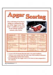 English Worksheet: APGAR POSTER