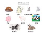 English Worksheet: THE ANIMALS (mammals) (A)