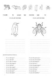 English Worksheet: Animals and insects