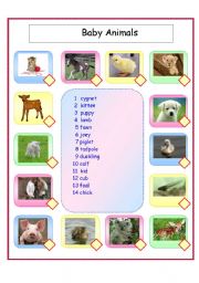 English Worksheet: Baby animals