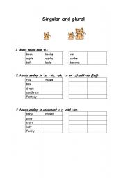 English Worksheet: Singular and plural