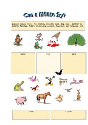 English worksheet: Can a mouse fly?