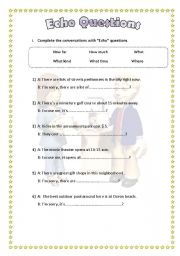 English Worksheet: Echo Questions