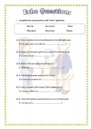 English worksheet: Echo Questions