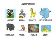 English Worksheet: THE ANIMALS (MAMMALS) (C)
