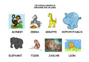 English worksheet: THE ANIMALS (MAMMALS) (C)