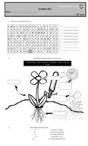 English Worksheet: Plants 