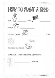 English Worksheet: HOW TO PLANT A SEED. LIFE CYCLE OF A PLANT