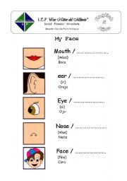English Worksheet: My Face