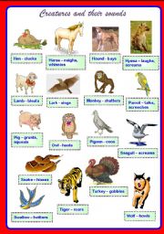 Creatures and their sounds Part 2 ** fully editable