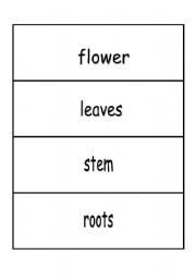 English Worksheet: Plant match