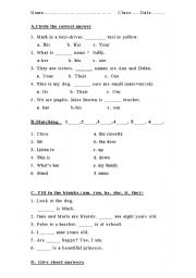 English Worksheet: THE VERB TO BE TEST