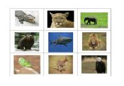 English Worksheet: ANIMALS BINGO