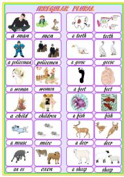 English Worksheet: Irregular plural