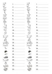 English Worksheet: guess animals