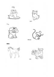 English worksheet: Animals