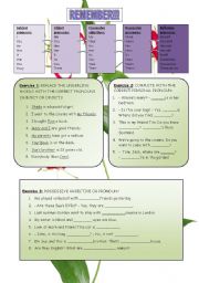 English Worksheet: Pronouns