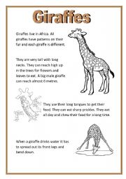 English Worksheet: Giraffes