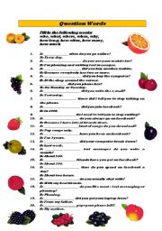 English Worksheet: Question words (who, how, when, where, how much, how long, how many)