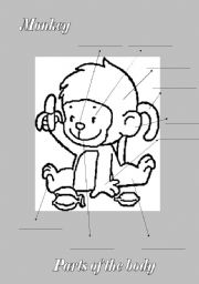 English Worksheet: parts of the body (baby monkey)