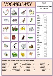 English Worksheet: Animals