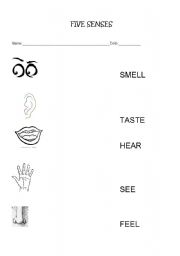 English Worksheet: FIVE SENSES