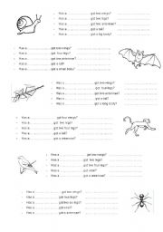 English Worksheet: Animals and insects