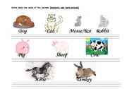 English worksheet: THE CALLIGRAPHY OF THE ANIMALS (MAMMALS -A-)