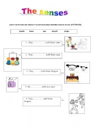 English worksheet: the senses