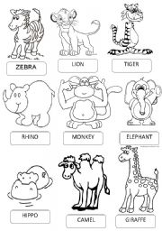 ZOO ANIMALS PICTIONARY