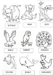 English Worksheet: ZOO ANIMALS PICTIONARY 2