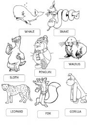 English Worksheet: ZOO ANIMALS PICTIONARY 3