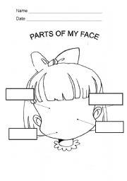 English Worksheet: PARTS OF MY FACE