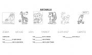 English worksheet: animals