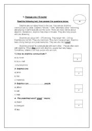 English Worksheet: reading