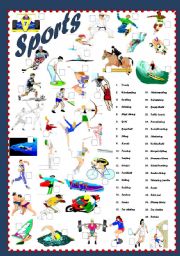English Worksheet: Sports(editable)