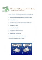 English worksheet: Present simple practice (animal unit)