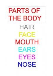 English worksheet: Parts of the Body - The Head