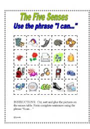 Five Senses Worksheet