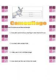 English worksheet: CAMOUFLAGE