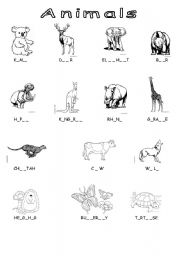 English Worksheet: Animals